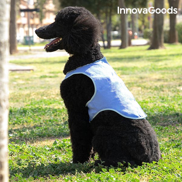 InnovaGoods Refreshing Pet Vest for Medium Pets - M